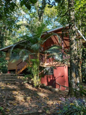Casa Mona, Jungle vibes adults only